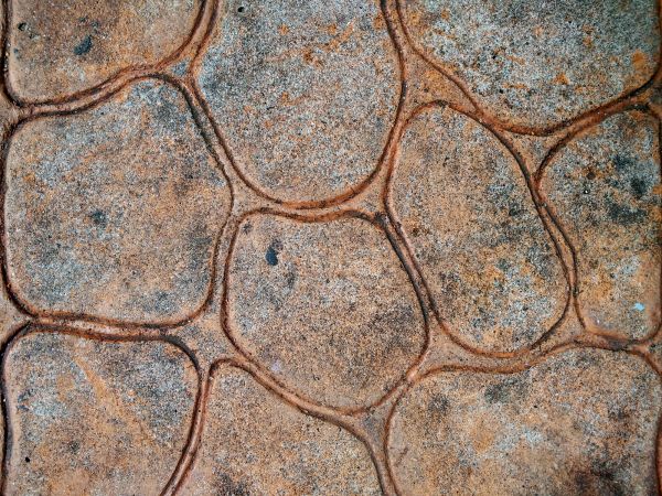 Cost of Concrete Stamping in Charlotte