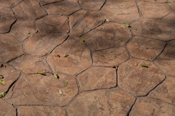 Cost of Concrete Texturing in Charlotte