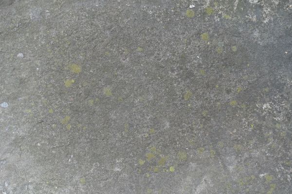 Cost of Slab Staining Service in Charlotte